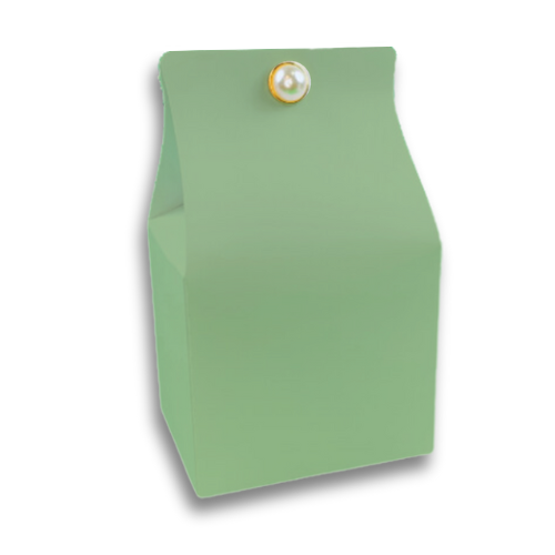 Pastel Green Carton Box