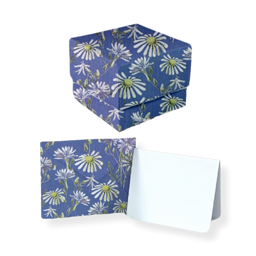 Daisy Dreams Bundle - 1 Square Box, 10 Mini Envelopes & 10 Mini Notes