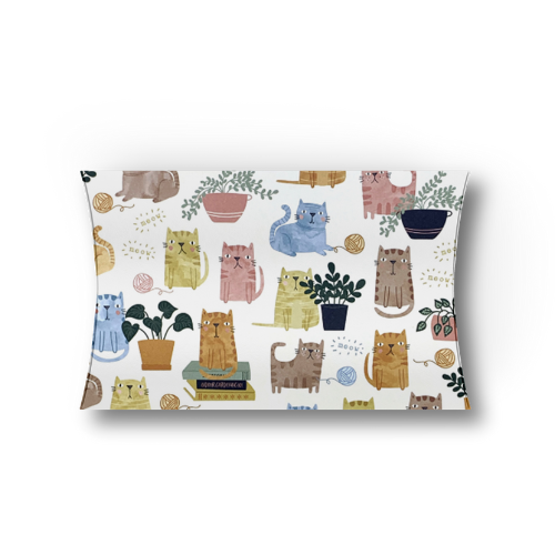 Cats Pillow Box - Set of 2